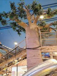 -卡通尼·Safari非洲探索乐园·生日会(金桥国际商业广场店)