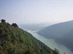 -铁山坪森林公园