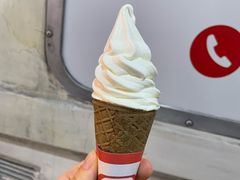 -富豪雪糕车流动点(尖沙咀店)