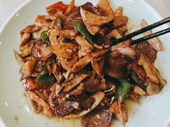 -邵年鸽(杨庄店)