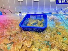 -甬小馆·焗海鲜温州菜(五马街店)