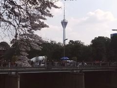 -成都市活水公园