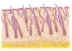 -Bollins波林丝•专研护发中心
