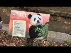 San&nbsp;Diego&nbsp;Zoo-圣地亚哥动物园