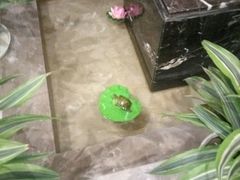 -花悦四季足道会所(钟家村店)