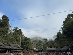 -野象谷景区