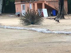 -秦皇岛野生动物园