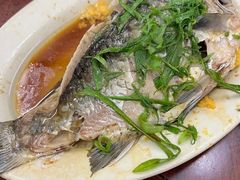 -顺发饭店