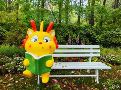 -上海共青森林公园