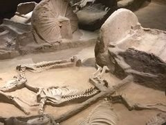 -洛阳周王城天子驾六博物馆