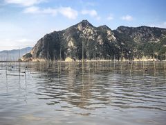 -北岐滩涂