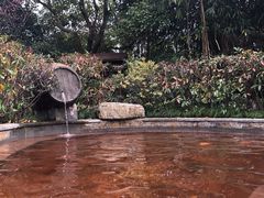 -杭州第一世界大酒店·云曼温泉