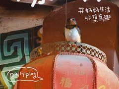 -暖泉古镇