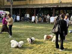 -上海神旺大酒店