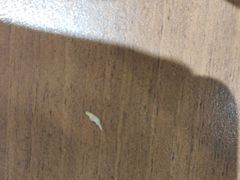 -李先生牛肉面·米饭套餐