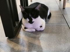 -屋里家延边朝鲜族冷面(梅林3店)