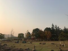 -白塘生态植物园