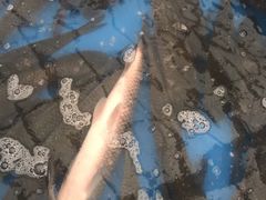 -永安烧烤