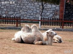 -苏州太湖牛仔风情度假村