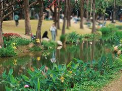 -人民公园(罗湖区)