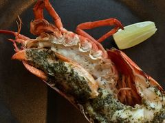 -Mercato莫卡多露台餐厅与酒吧(K11店)