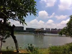 -松山湖南湖湾露营营地