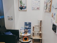 -爱诺耐芙动物医院(万博店)