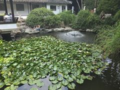 -上海醉白池公园