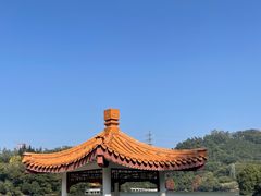 -深圳仙湖植物园