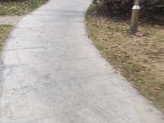 -觀芷隐轩