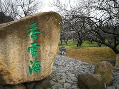 -香雪海