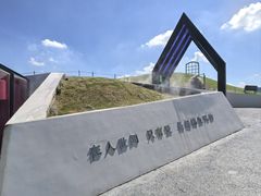 -荷兰花海
