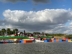 -春花秋色城市公园