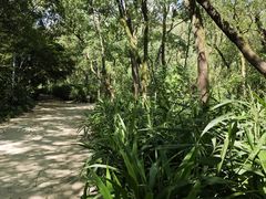 -西湖风景区-江洋畈生态公园