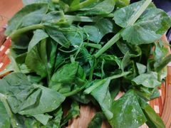 -阿山卓·野生菌火锅·纳西火塘烤肉