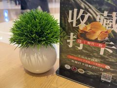 -mango tree芒果树泰国餐厅(青岛万象城店)