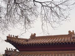 -桃花堤公园