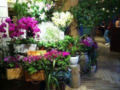 景观位-春暖花开(西溪店)