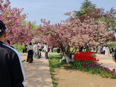 -石家庄市植物园