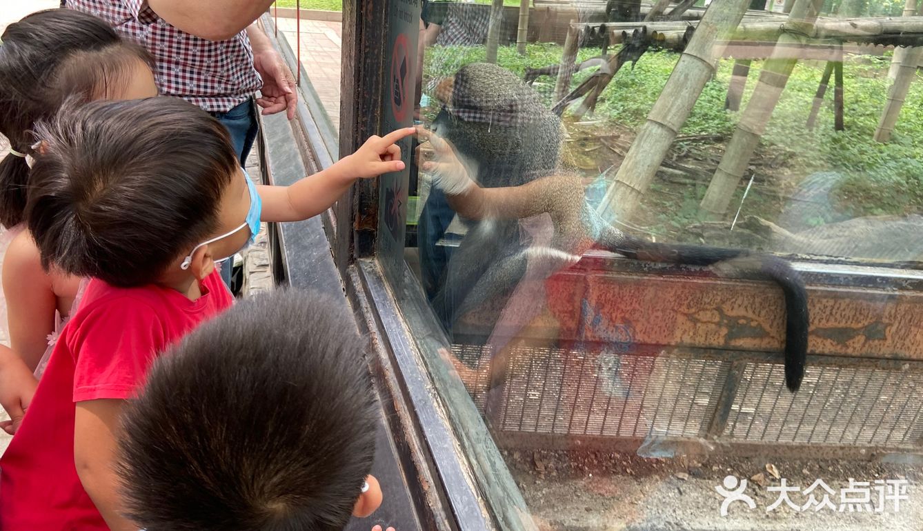 园子里禁止投喂 总有执勤人员盯着乱投喂