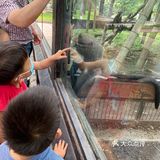 园子里禁止投喂 总有执勤人员盯着乱投喂