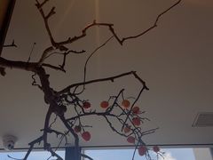-杏花堂晋商私房菜(华熙五棵松店)