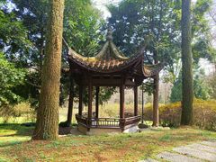 -杭州植物园