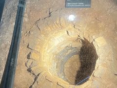 -南越王博物院(王宫展区)