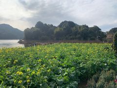 -广州市石门国家森林公园
