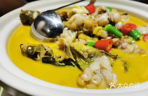 Yellow Catfish and Bullfrog Pot