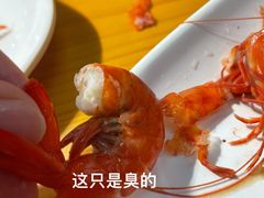 -养牛邓·潮汕牛肉海鲜自助火锅(广州店)