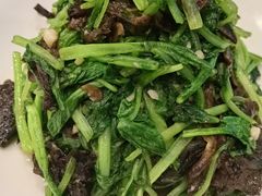 -山南熏肉大饼(辽菜旗舰店)