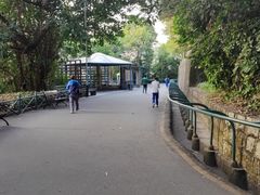 -东望洋炮台东望洋灯塔