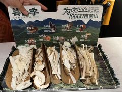 -芸山季·云南野生菌火锅(人民广场来福士店)